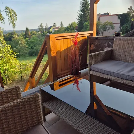 Bona Casa Vendeghaz 別荘 ミシュコルツ