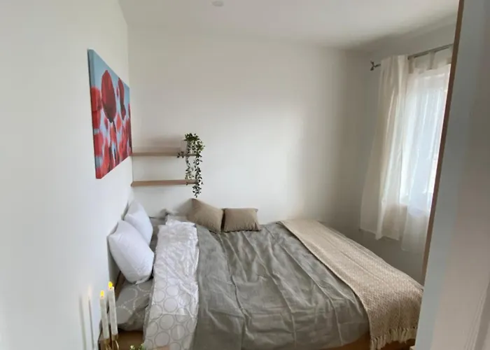 Bona Casa Vendeghaz